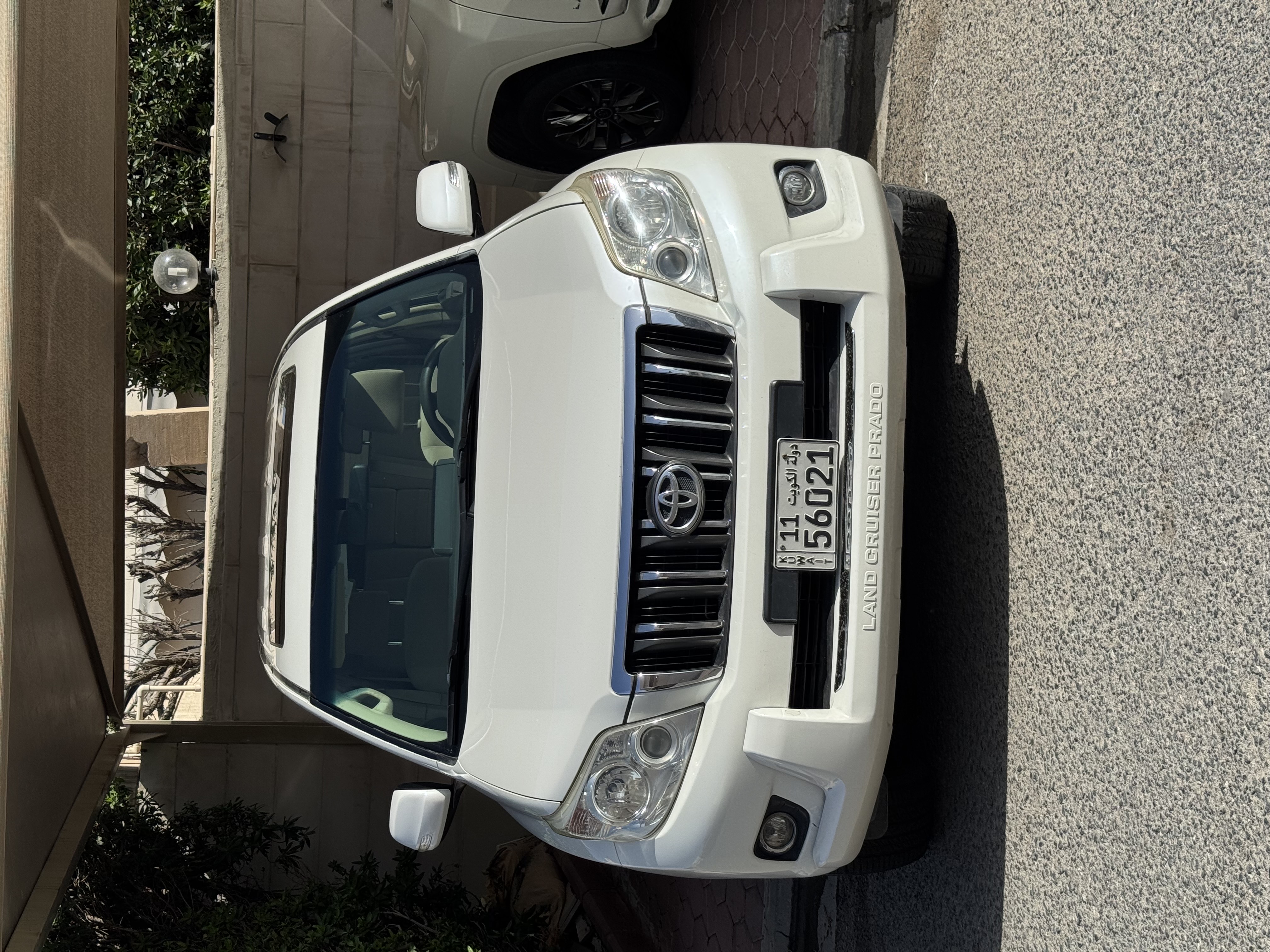 برادو ٢٠١٣