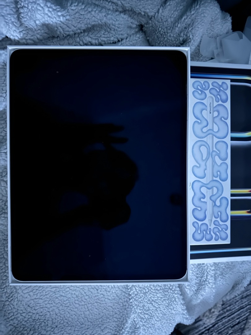 iPad M4 13 inch 512 GB and the Apple Pencil Pro