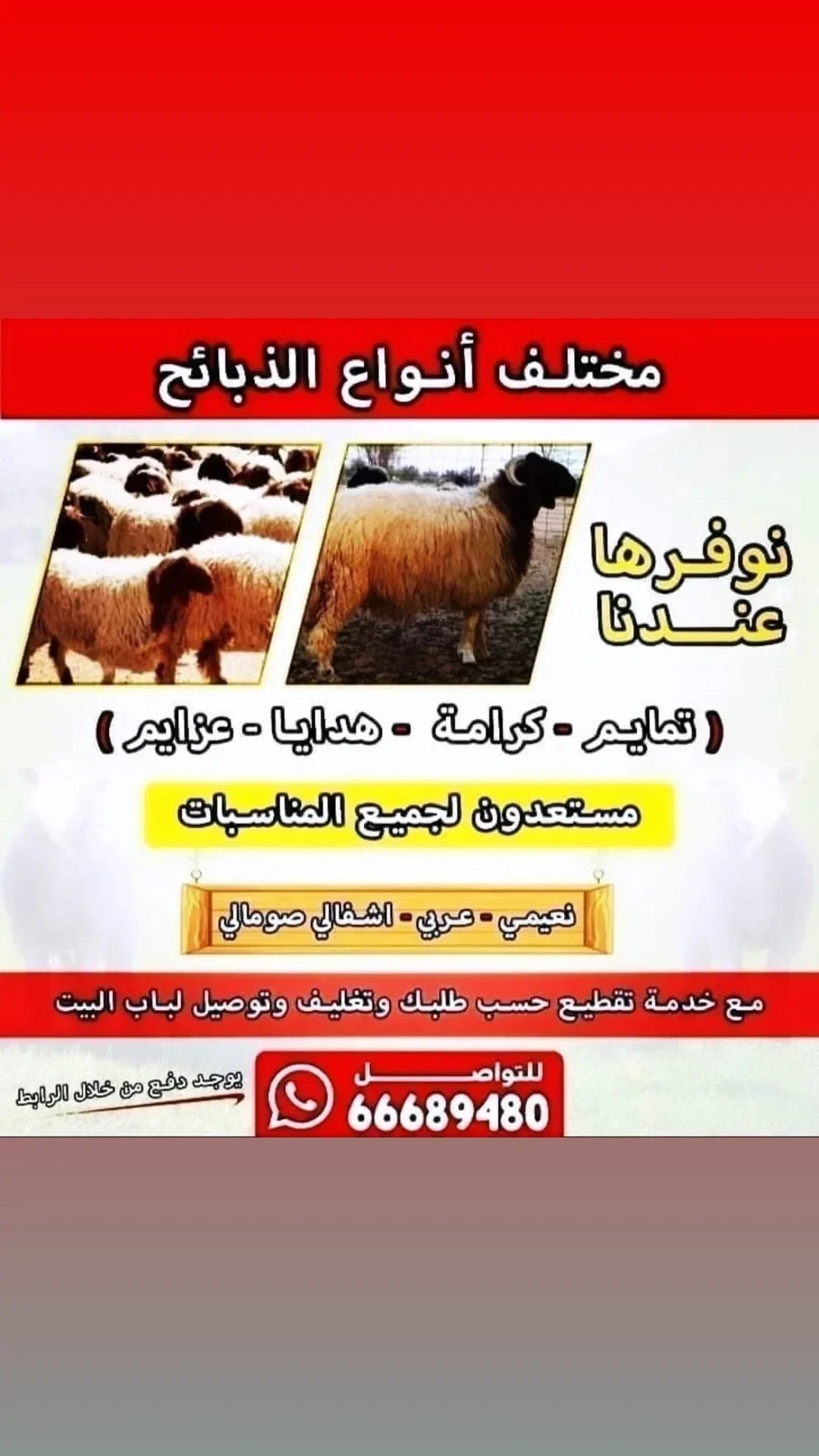 قصاب الكويت/66689480