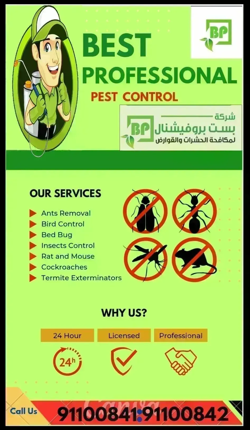 Best professional