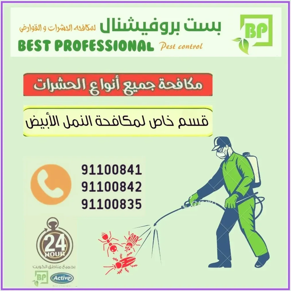 Best Professional