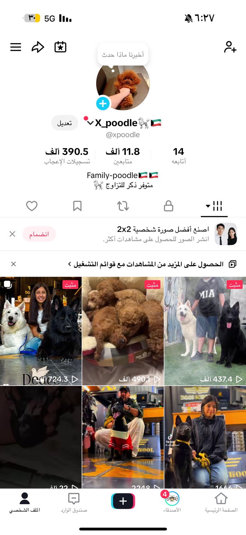 للحجز جراوي بودل تي كب