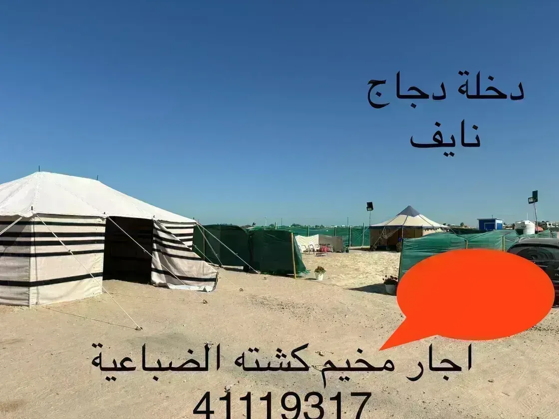 مخيم كشته الضباعية