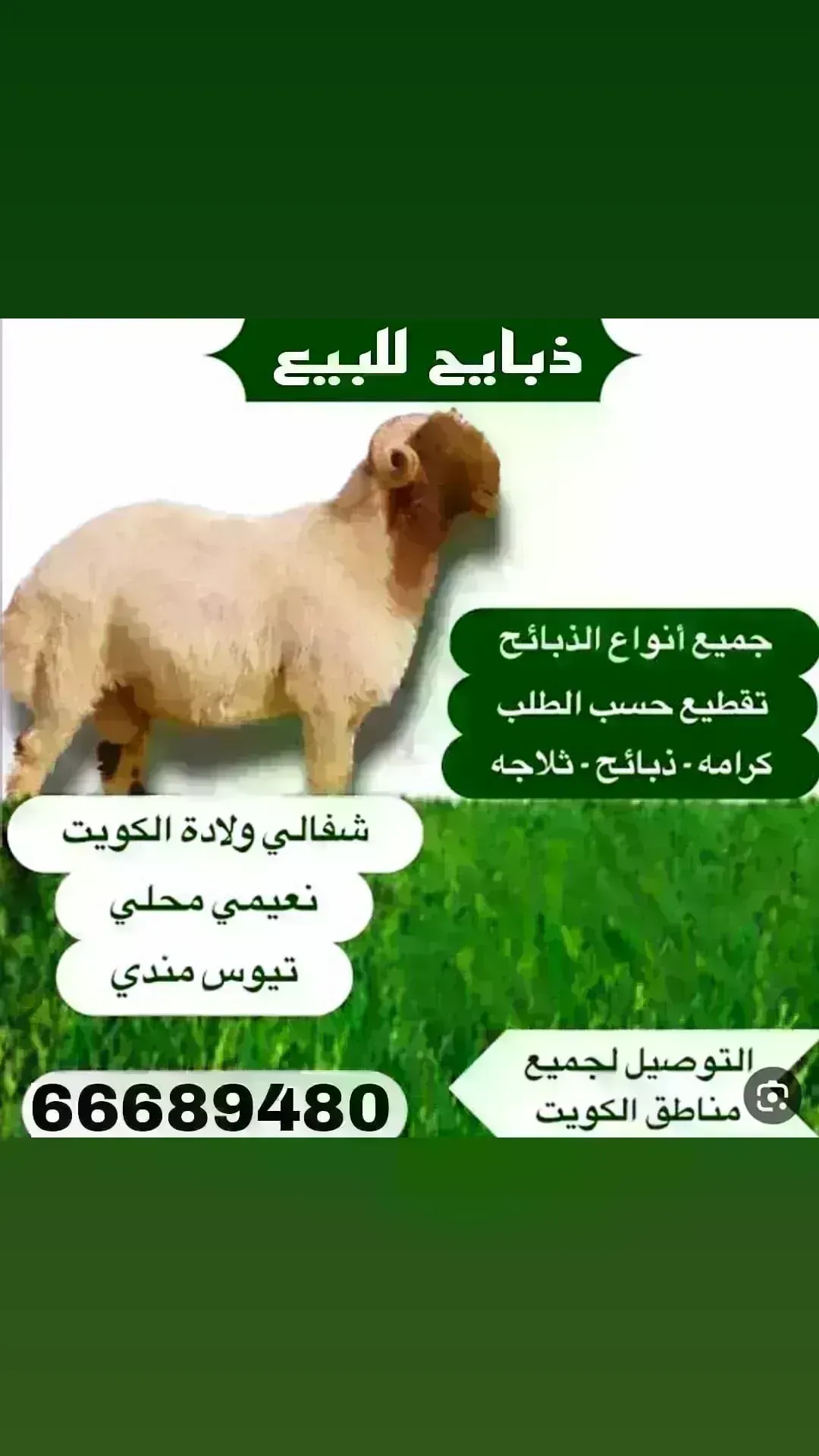 قصاب الكويت/66689480