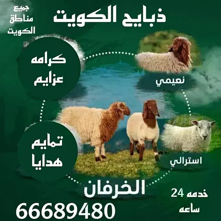 قصاب الكويت/66689480