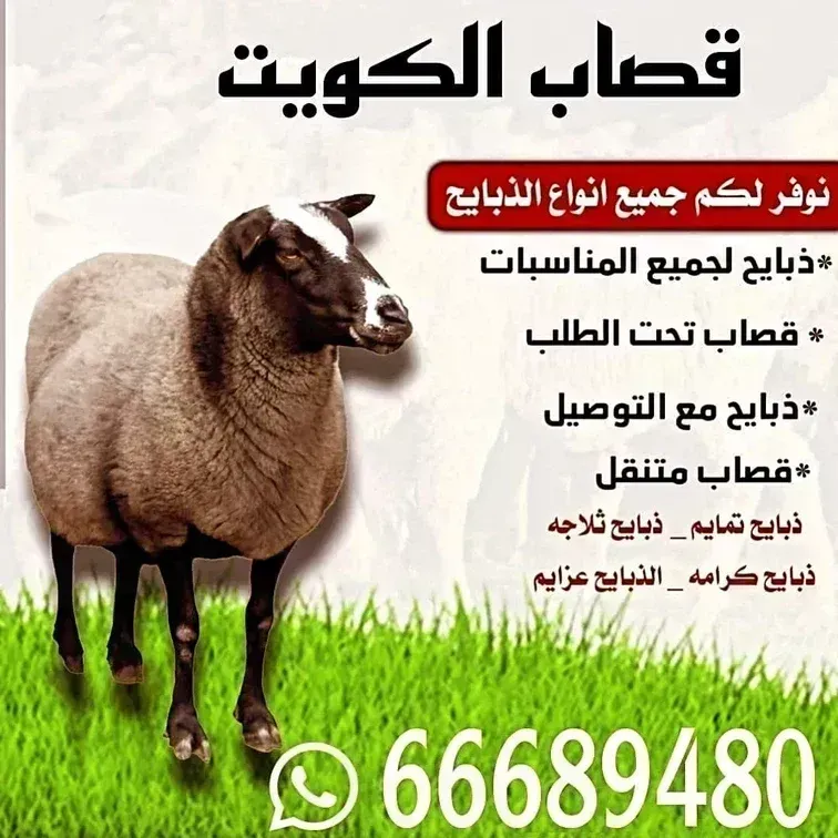 قصاب الكويت/66689480