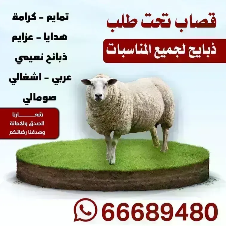 قصاب الكويت بالكويت/66689480