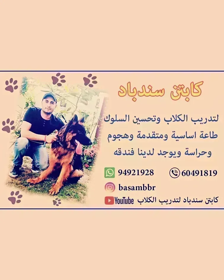 تدريب كلاب