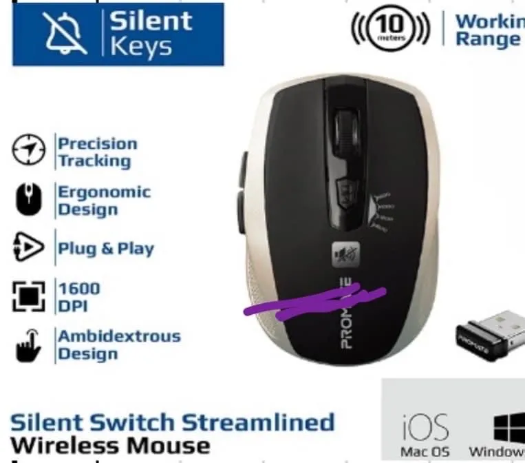 mouse