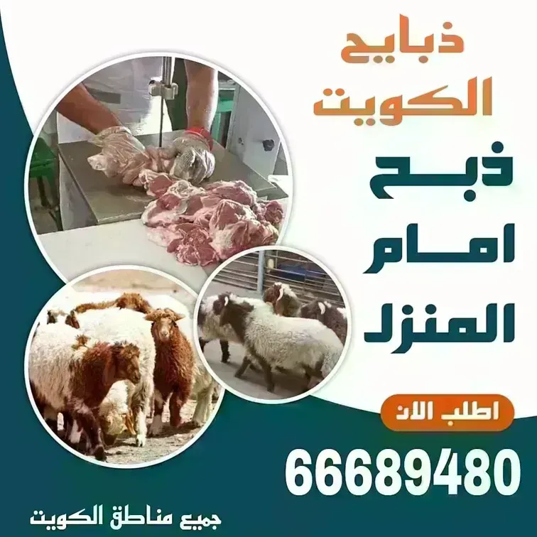 قصاب الكويت/66689480