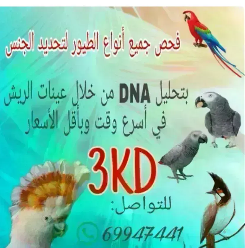 فحص الطيور لتحديد الجنس بتحليل DNA