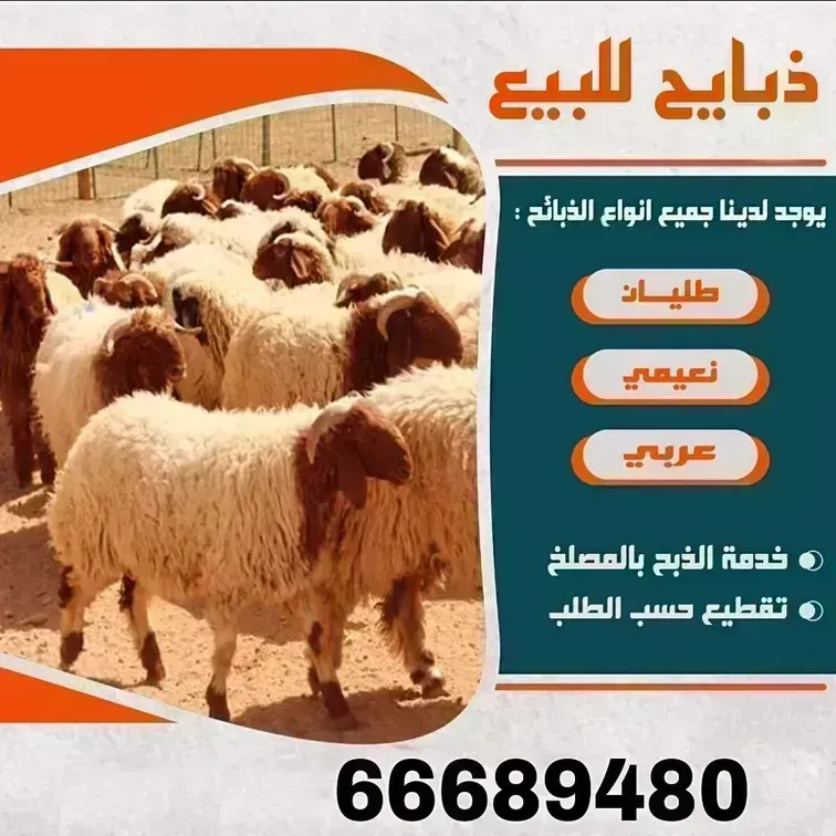 قصاب الكويت/66689480