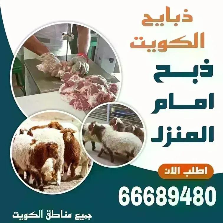 قصاب الكويت/66689480