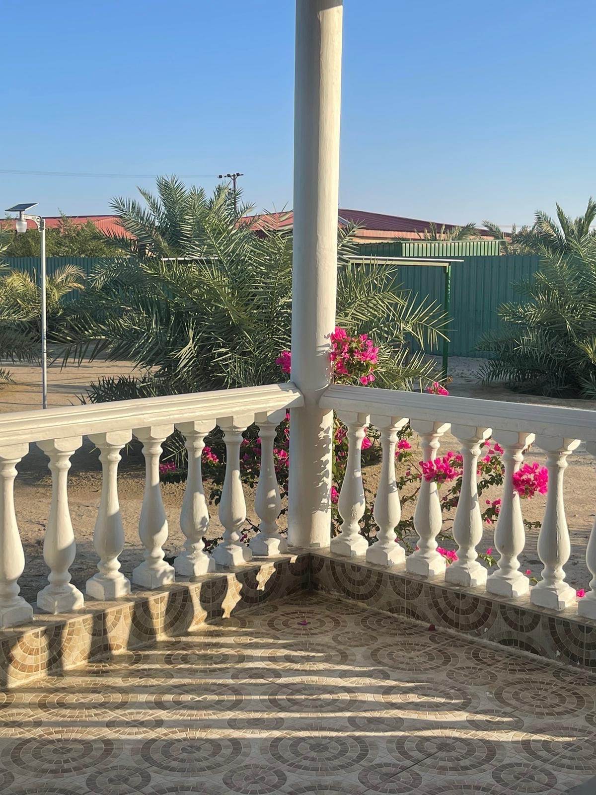 مزرعة للايجار بالوفرة