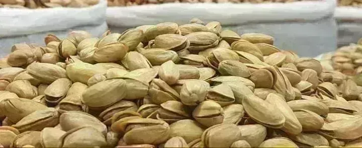 Iranian pistachio available in bulk