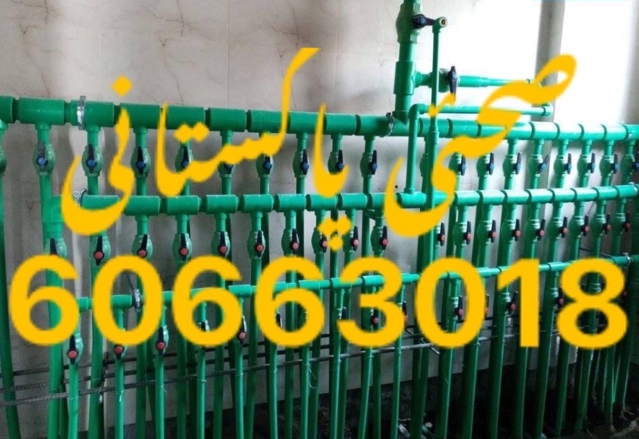 معلم صحی پاکستانی
