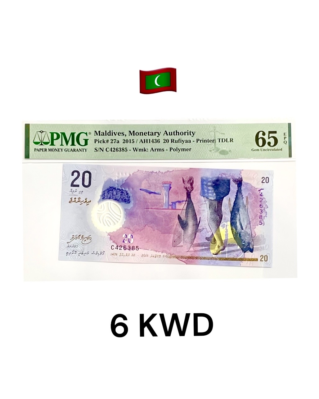 عملات مقيمة PMG