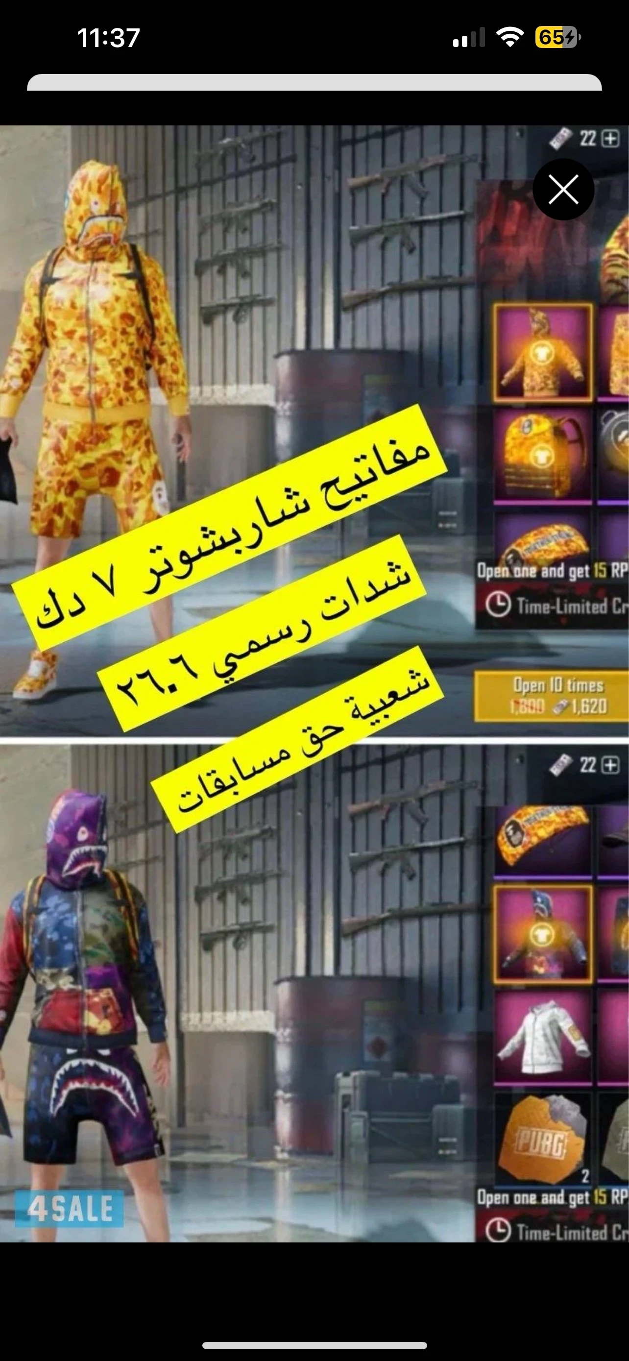 شدات بيجي