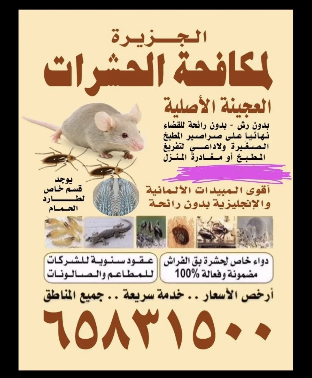 مكافحه حشرات