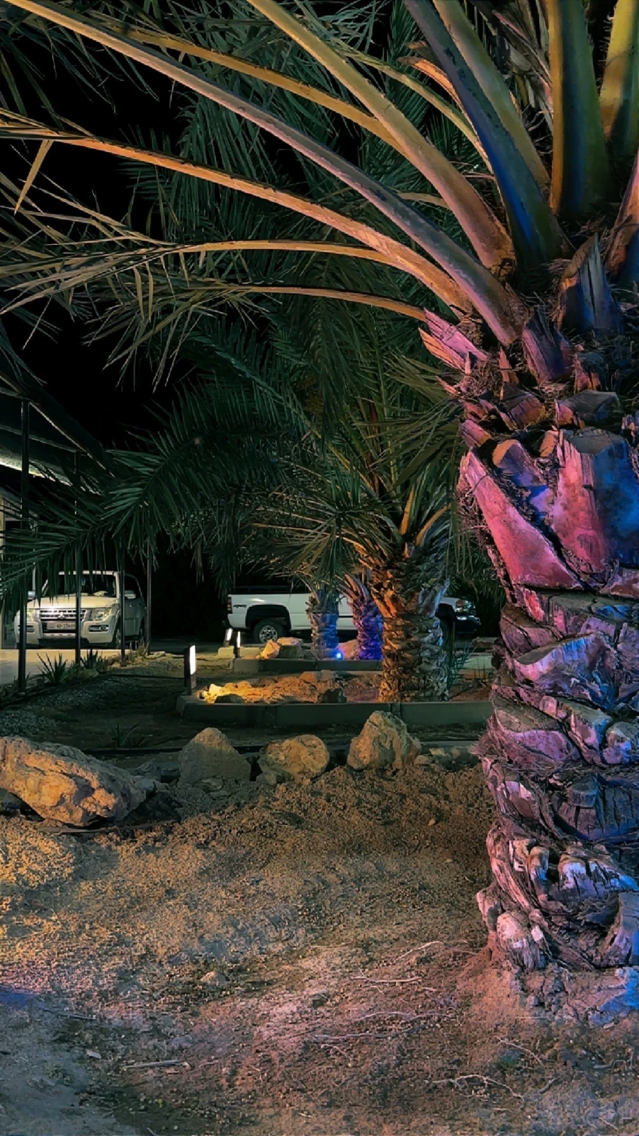 مزرعه النيره