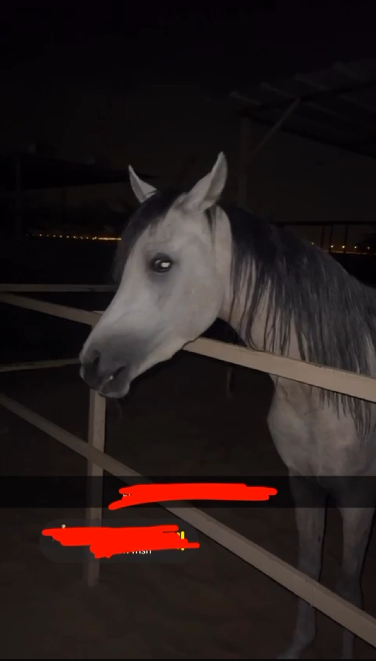 الاحمدي