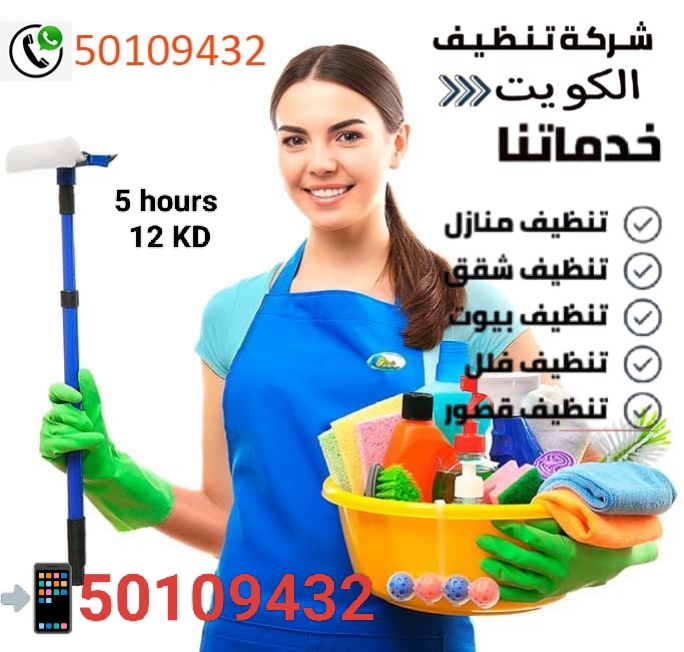 home cleaning