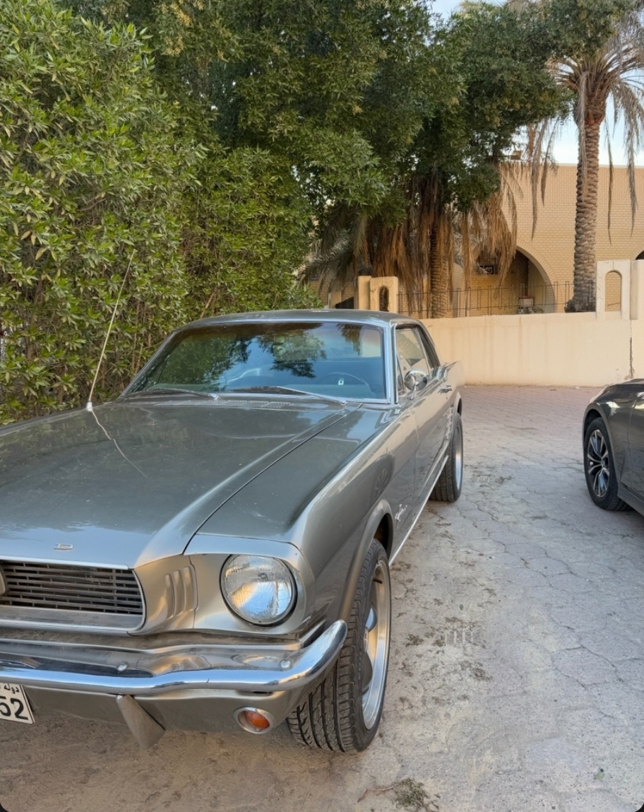 للبيع موستنق 1966