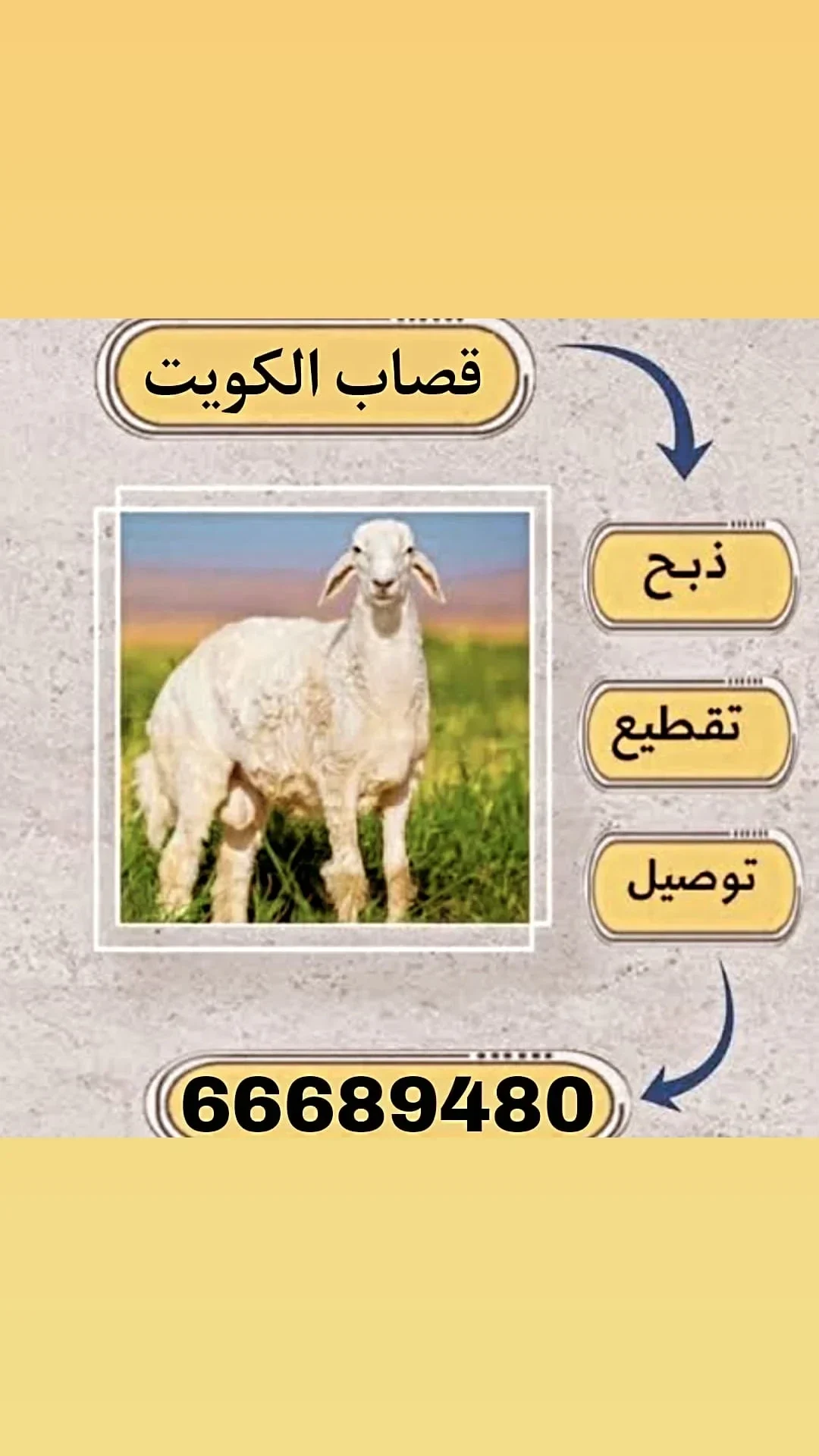 قصاب الكويت/66689480