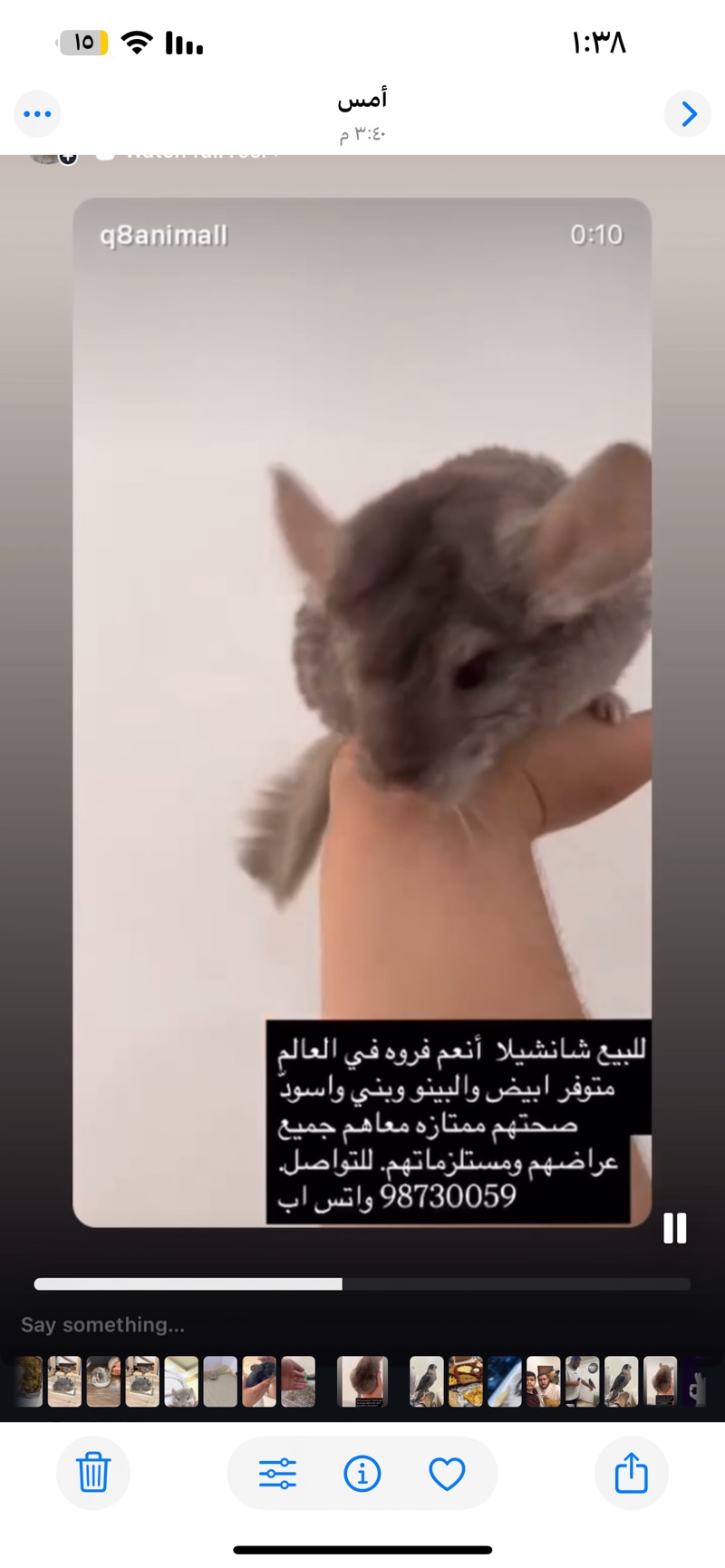 شانشيلا أنعم فروه في العالم النادر