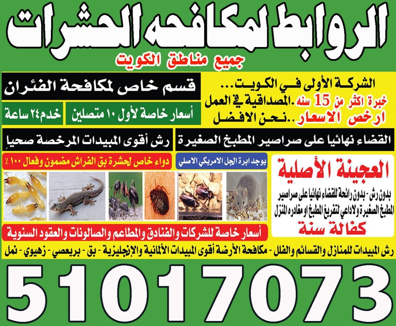 رش حشرات