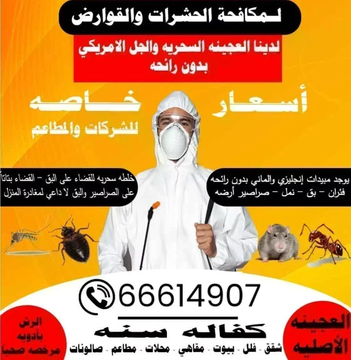 مكافحة الحشرات والقوارض