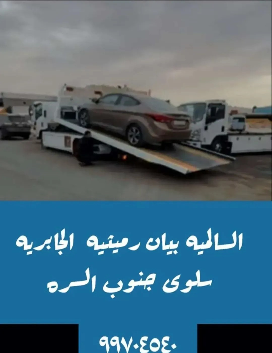 ونش كرين السالميه