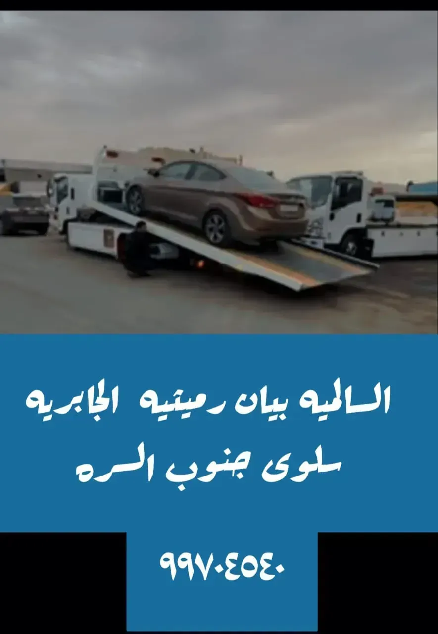 ونش كرين السالميه