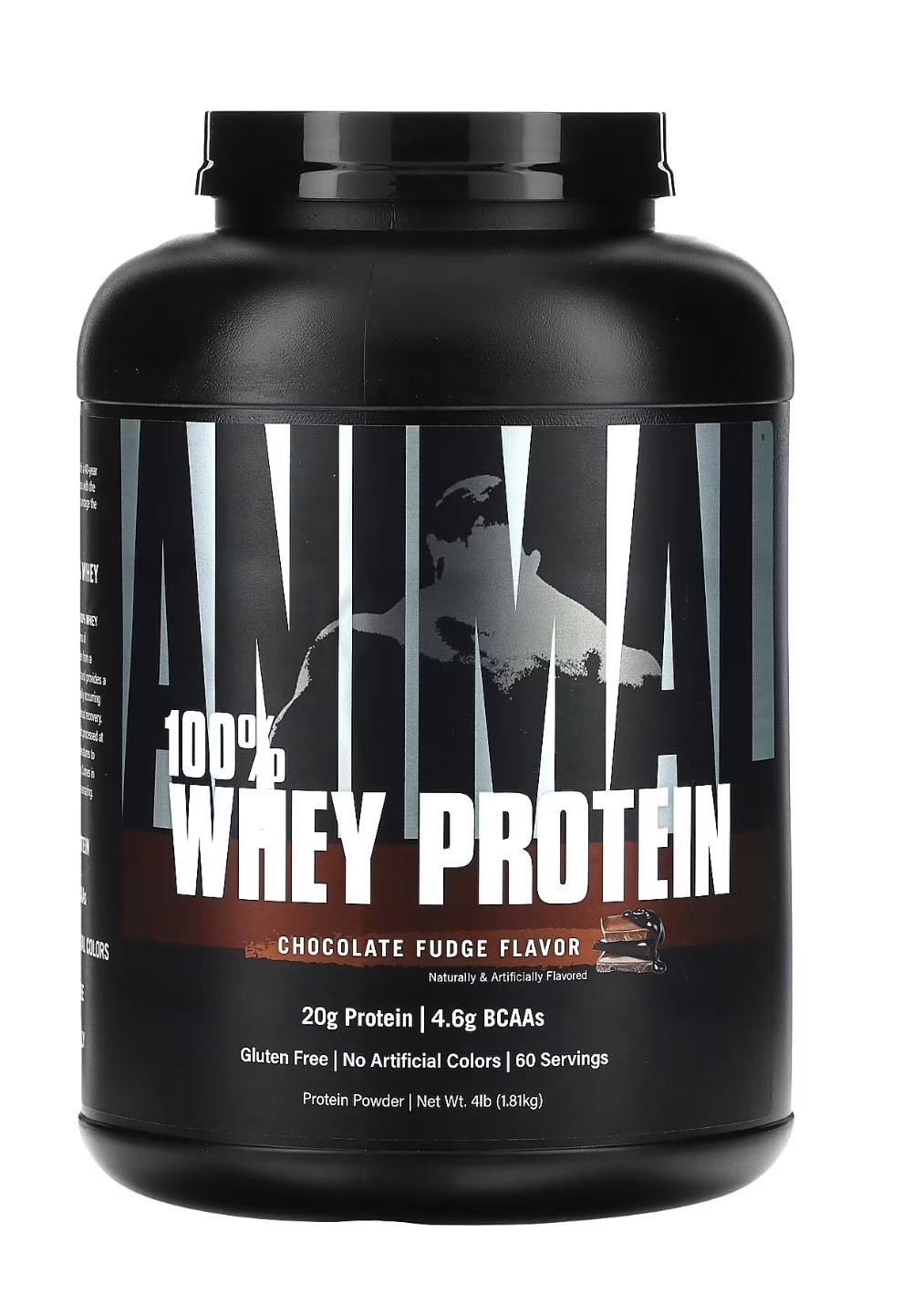 whey protein بروتين