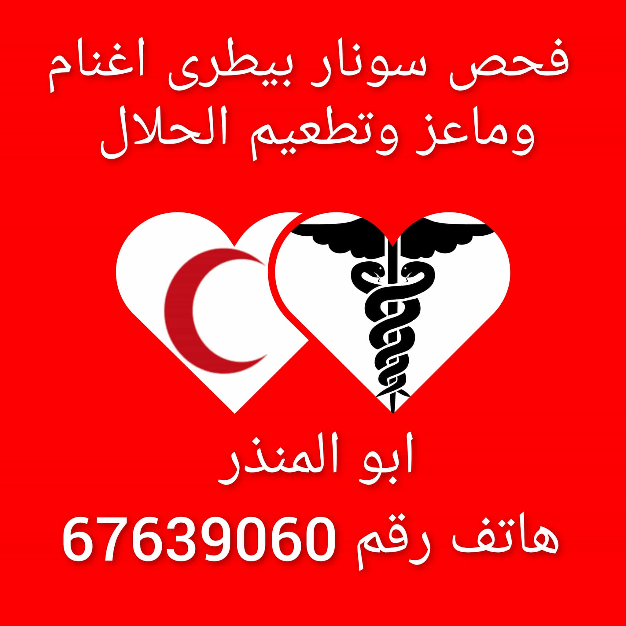 فحص سونار بيطري اغنام وماعز وتطعيم الحلال