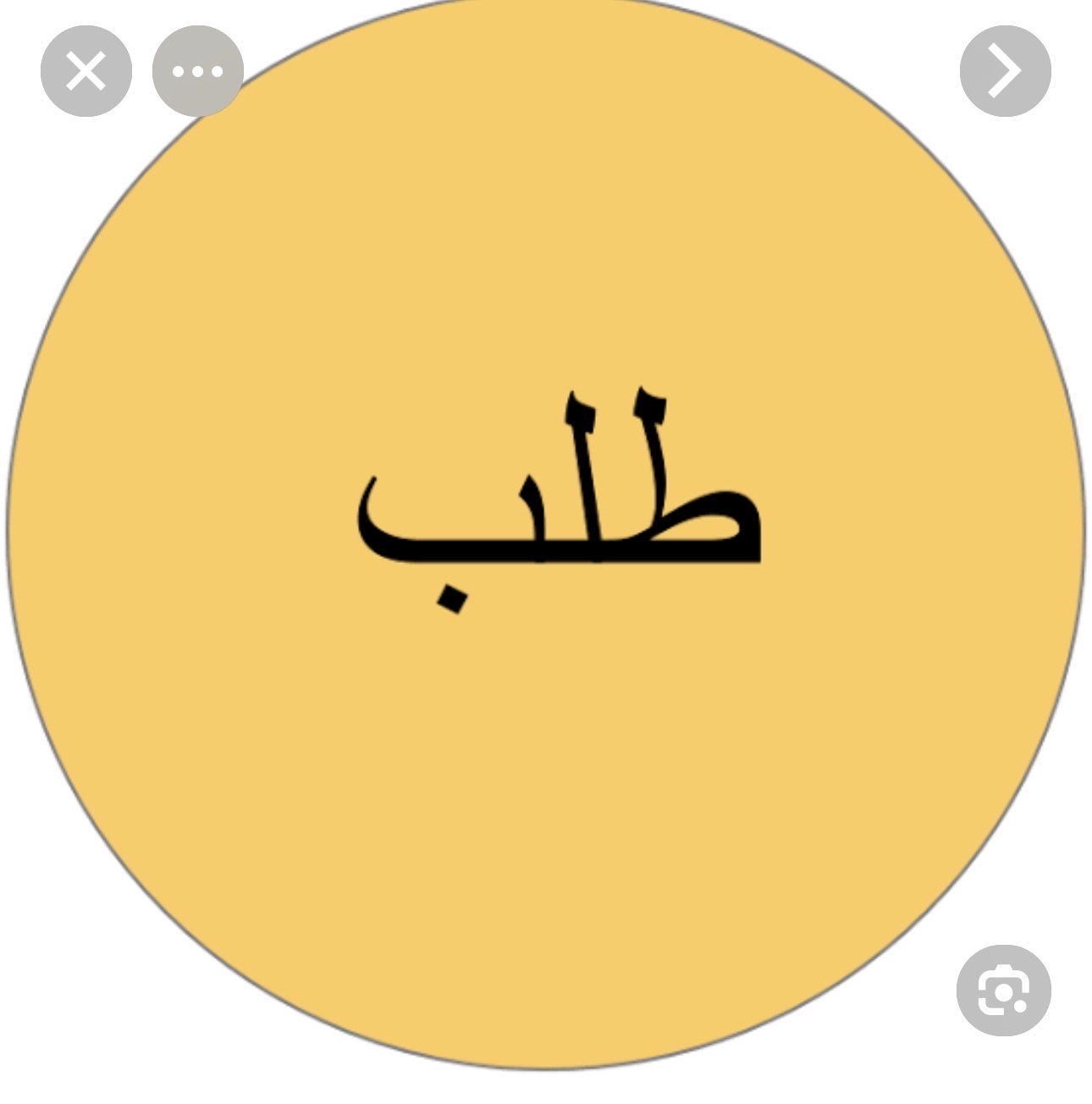 مندوب عام