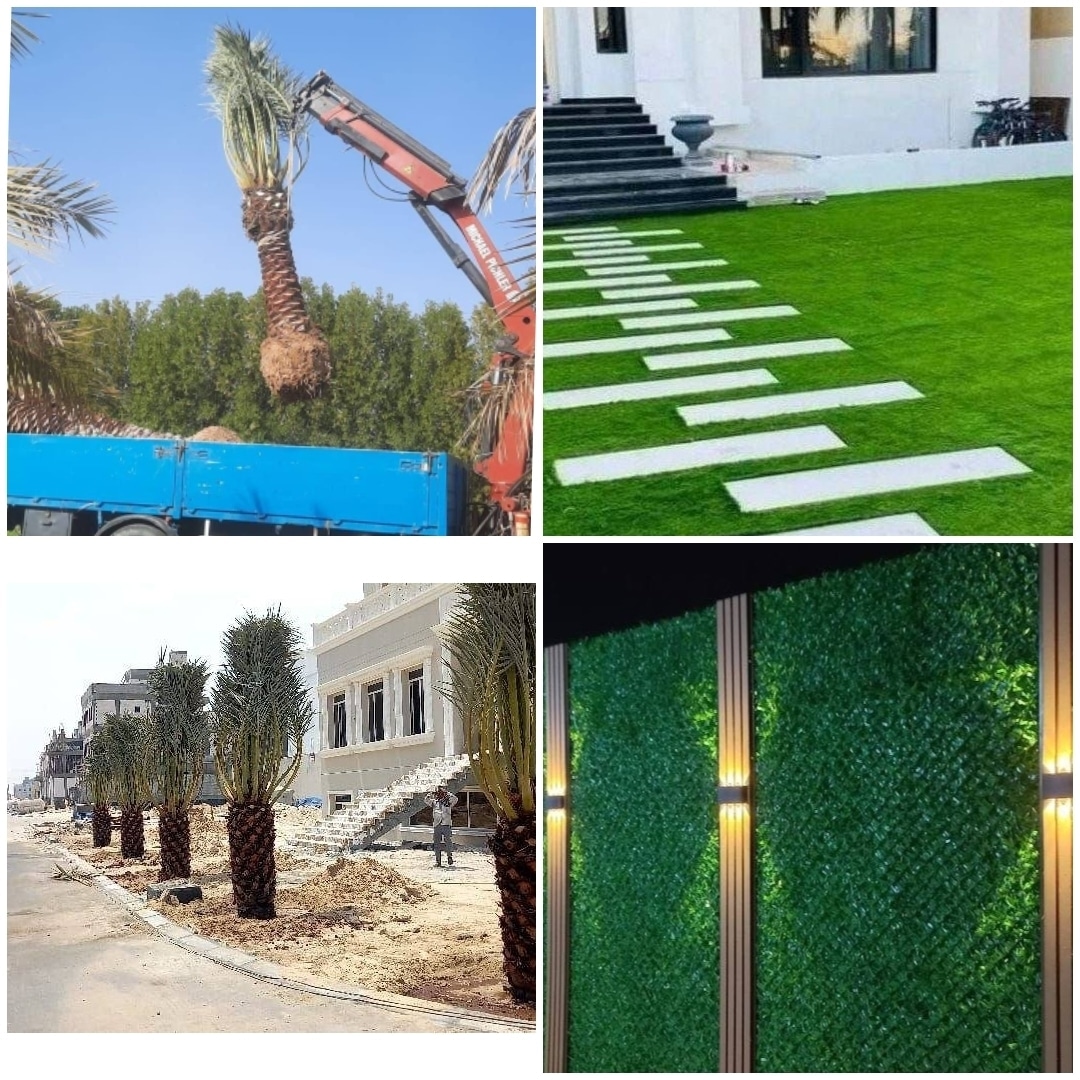 تنسيق الحدائق
