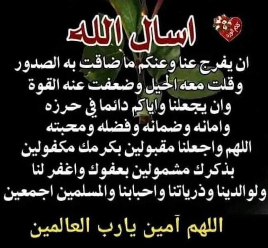 سايق - خبرة