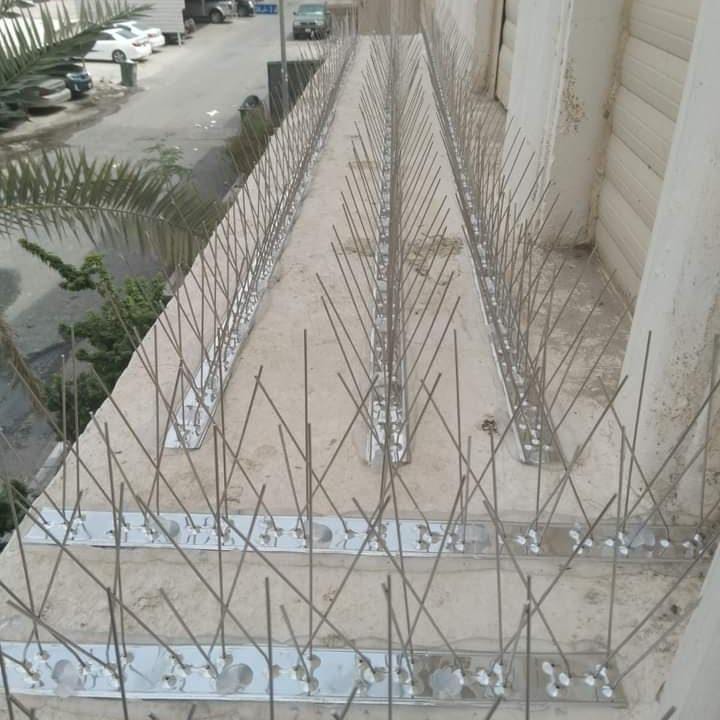 مكافحة حشرات ابو علي