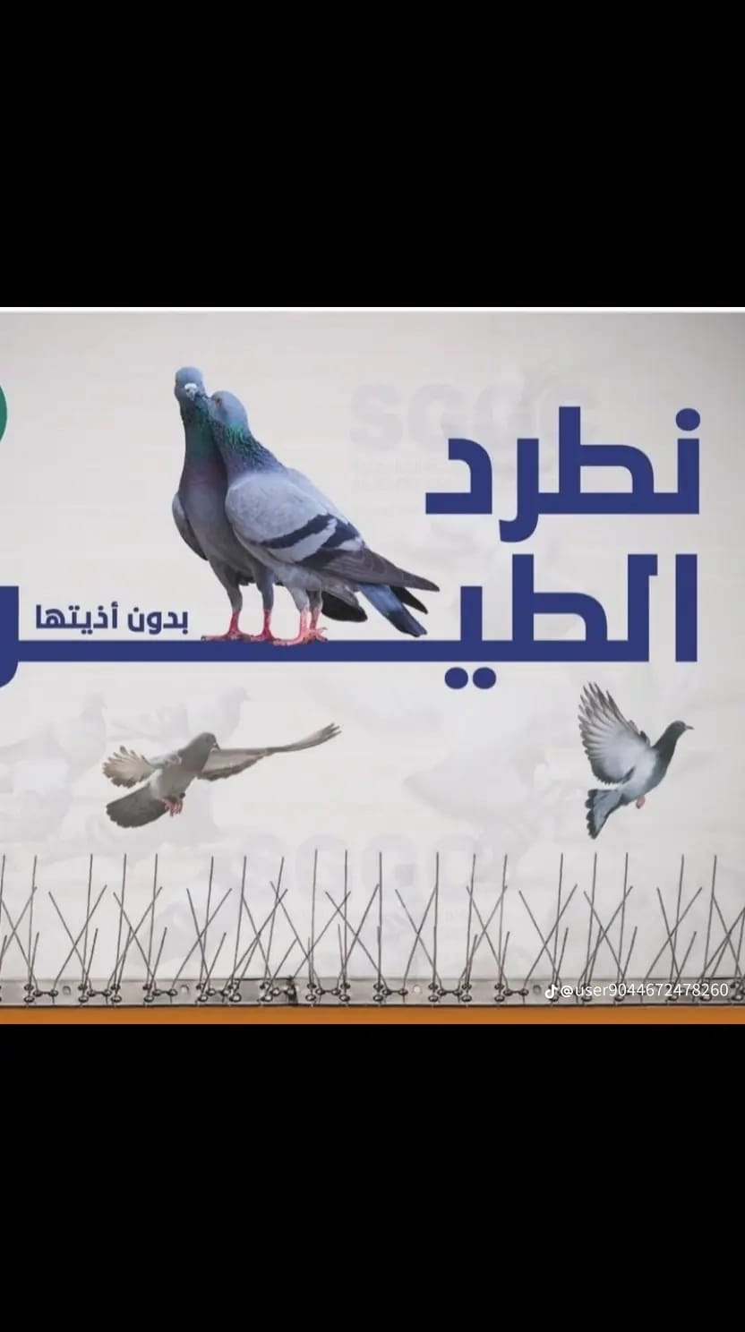 مكافحة حشرات ابو علي