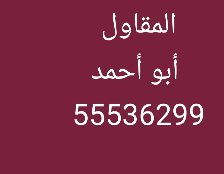 R55536299