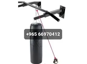A66970412