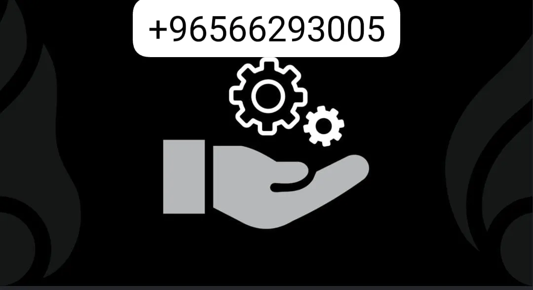 T66293005