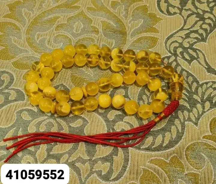 M41059552