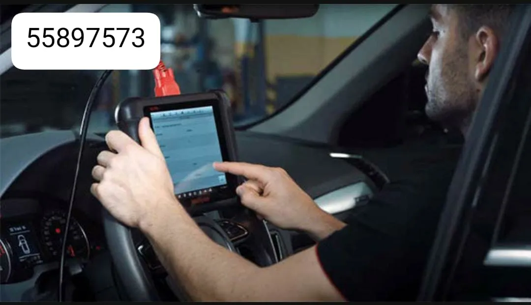 z55897573