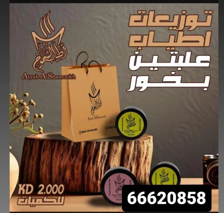 S66620858