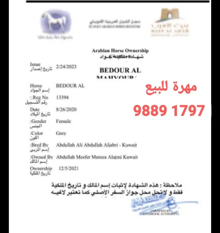 j98891797