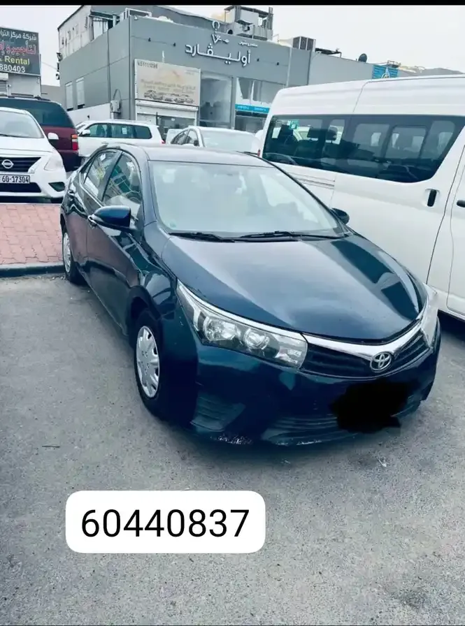 s60440837