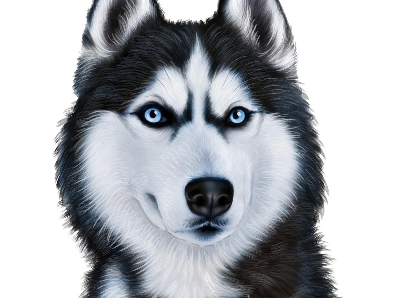 q8huskyq8