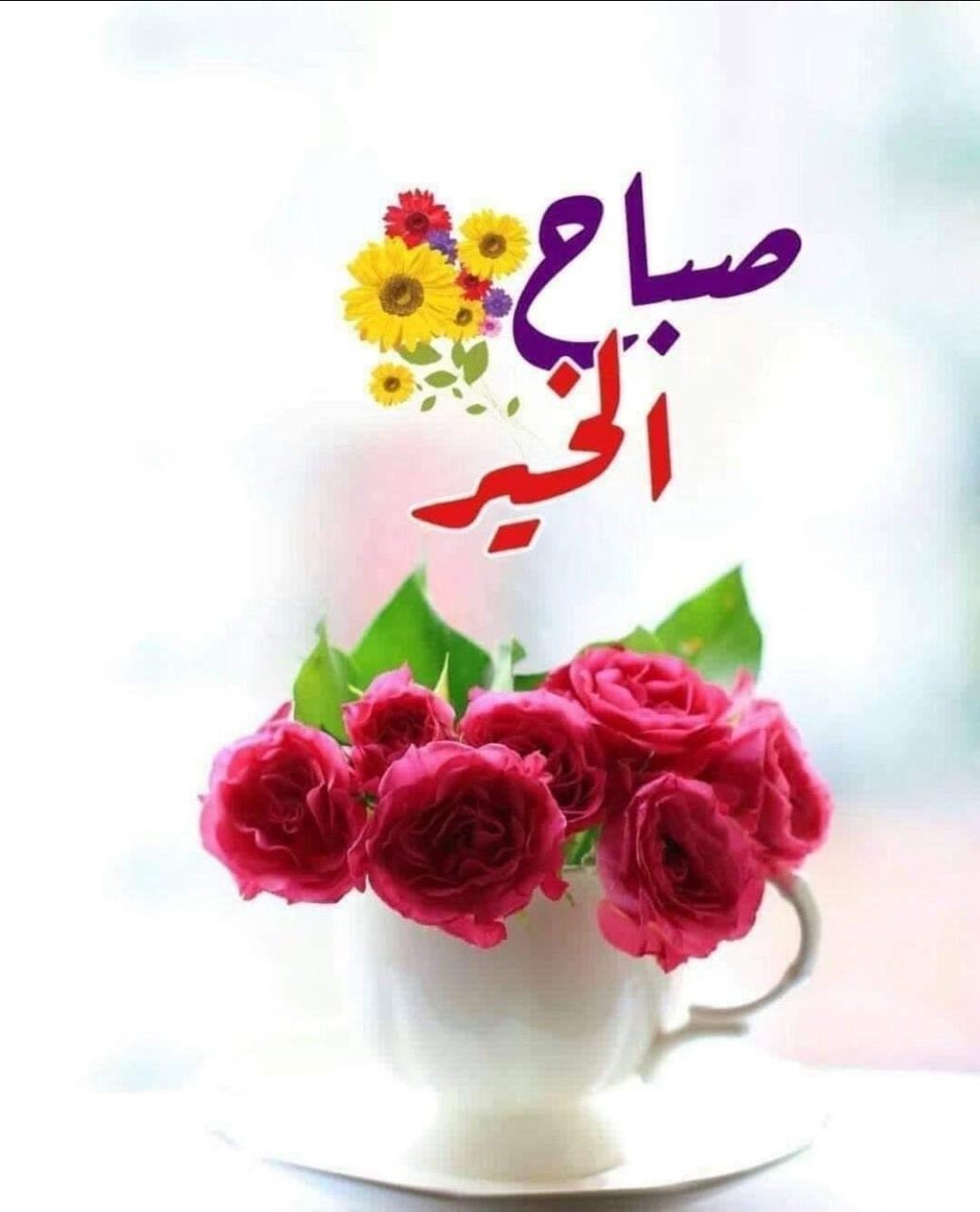 Hassan MM